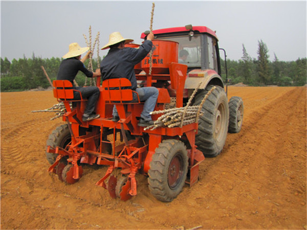 How to Choose the Right Tractor Horsepower and Configured Implements for Cassava Cultivation